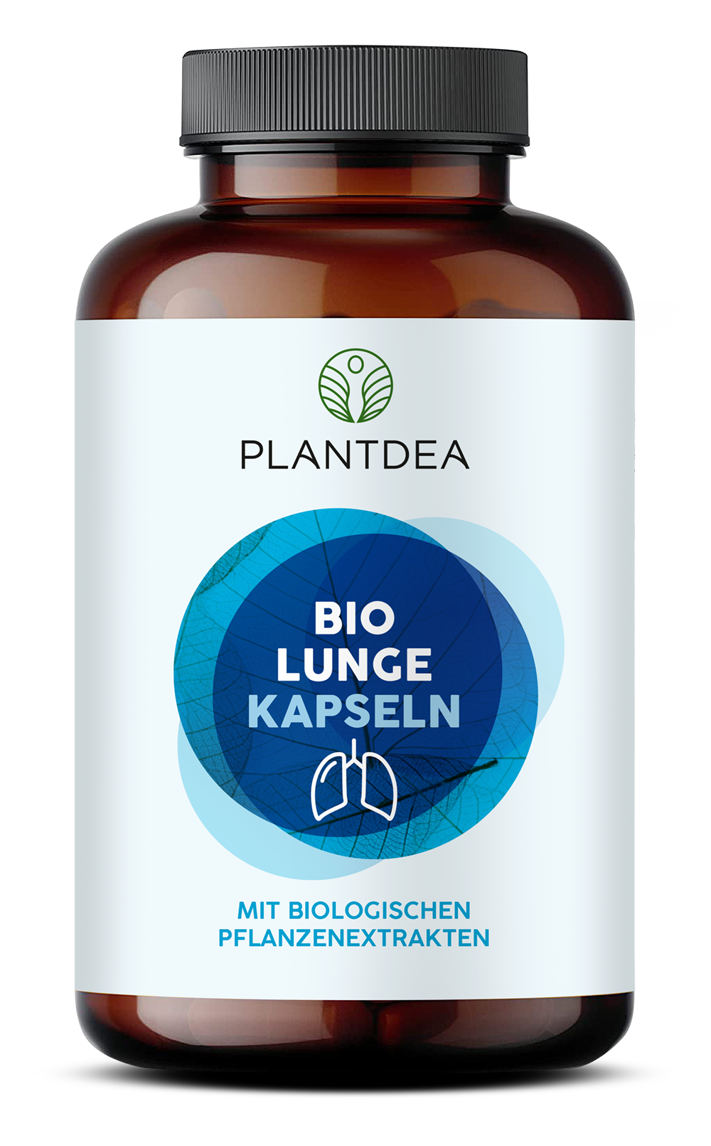 3D_Dosen_PlantDea_Lunge Kopie